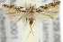  ( - 11ANIC-15457)  @13 [ ] CreativeCommons - Attribution (2011) ANIC/CBG Photography Group Centre for Biodiversity Genomics