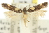  ( - 11ANIC-15479)  @11 [ ] CreativeCommons - Attribution (2011) ANIC/CBG Photography Group Centre for Biodiversity Genomics