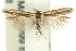  ( - 11ANIC-15487)  @13 [ ] CreativeCommons - Attribution (2011) ANIC/CBG Photography Group Centre for Biodiversity Genomics