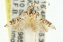  ( - 11ANIC-15540)  @12 [ ] CreativeCommons - Attribution (2011) ANIC/CBG Photography Group Centre for Biodiversity Genomics