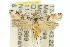  ( - 11ANIC-15542)  @11 [ ] CreativeCommons - Attribution (2011) ANIC/CBG Photography Group Centre for Biodiversity Genomics