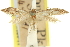  ( - 11ANIC-15634)  @11 [ ] CreativeCommons - Attribution (2011) ANIC/CBG Photography Group Centre for Biodiversity Genomics