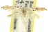  ( - 11ANIC-15639)  @11 [ ] CreativeCommons - Attribution (2011) ANIC/CBG Photography Group Centre for Biodiversity Genomics