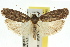  ( - 11ANIC-16022)  @12 [ ] CreativeCommons - Attribution (2011) ANIC/CBG Photography Group Centre for Biodiversity Genomics