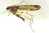  ( - 11ANIC-16103)  @12 [ ] CreativeCommons - Attribution (2011) ANIC/CBG Photography Group Centre for Biodiversity Genomics