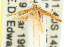  (Caloptilia sp. ANIC6 - 11ANIC-16121)  @12 [ ] CreativeCommons - Attribution (2011) ANIC/CBG Photography Group Centre for Biodiversity Genomics