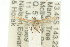  ( - 11ANIC-16131)  @11 [ ] CreativeCommons - Attribution (2011) ANIC/CBG Photography Group Centre for Biodiversity Genomics