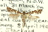  ( - 11ANIC-16144)  @11 [ ] CreativeCommons - Attribution (2011) ANIC/CBG Photography Group Centre for Biodiversity Genomics