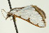  ( - BIOUG01407-G03)  @13 [ ] CreativeCommons - Attribution (2011) Zhaofu Yang, BIO Centre for Biodiversity Genomics