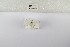  ( - ANHRTUK-00059860)  @11 [ ] Copyright (2021) Unspecified ANHRT
