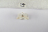  ( - ANHRTUK-00060176)  @11 [ ] Copyright (2021) Unspecified ANHRT