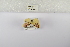  ( - ANHRTUK-00139185)  @11 [ ] Copyright (2021) Unspecified ANHRT