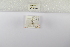  ( - ANHRTUK-00156171)  @11 [ ] Copyright (2021) Unspecified ANHRT