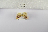  ( - ANHRTUK-00158172)  @11 [ ] Copyright (2021) Unspecified ANHRT
