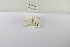  ( - ANHRTUK-00160512)  @11 [ ] Copyright (2021) Unspecified ANHRT
