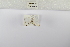  ( - ANHRTUK-00160566)  @11 [ ] Copyright (2021) Unspecified ANHRT
