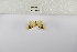  ( - ANHRTUK-00192364)  @11 [ ] Copyright (2021) Unspecified ANHRT
