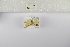  ( - ANHRTUK-00192585)  @11 [ ] Copyright (2021) Unspecified ANHRT