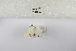  ( - ANHRTUK-00194076)  @11 [ ] Copyright (2021) Unspecified ANHRT