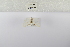  ( - ANHRTUK-00196057)  @11 [ ] Copyright (2021) Unspecified ANHRT