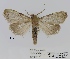  ( - ANHRTUK00001411)  @11 [ ] COPYRIGHT (2021) Unspecified ANHRT