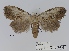  ( - ANHRTUK00001526)  @11 [ ] COPYRIGHT (2021) Unspecified ANHRT