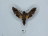  ( - ANHRTUK00006832)  @11 [ ] Copyright (2021) Unspecified ANHRT