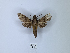  ( - ANHRTUK00007323)  @11 [ ] Copyright (2021) Unspecified ANHRT