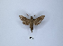  ( - ANHRTUK00007379)  @11 [ ] Copyright (2021) Unspecified ANHRT