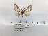  ( - ANHRTUK00008896)  @11 [ ] COPYRIGHT (2021) Unspecified ANHRT