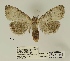  ( - ANHRTUK00011164)  @11 [ ] COPYRIGHT (2021) Unspecified ANHRT