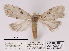  ( - ANHRTUK00011982)  @11 [ ] COPYRIGHT (2021) Unspecified ANHRT