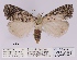  ( - ANHRTUK00012064)  @11 [ ] COPYRIGHT (2021) Unspecified ANHRT