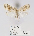  (Nola politzari - ANHRTUK00012218)  @11 [ ] COPYRIGHT (2021) Unspecified ANHRT