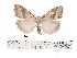  ( - ANHRTUK00012235)  @11 [ ] COPYRIGHT (2021) Unspecified ANHRT