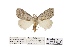  ( - ANHRTUK00013155)  @11 [ ] COPYRIGHT (2021) Unspecified ANHRT