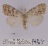  ( - ANHRTUK00013164)  @11 [ ] COPYRIGHT (2021) Unspecified ANHRT
