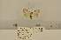  ( - ANHRTUK00013188)  @11 [ ] COPYRIGHT (2021) Unspecified ANHRT