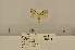  ( - ANHRTUK00013215)  @11 [ ] COPYRIGHT (2021) Unspecified ANHRT