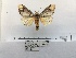  ( - ANHRTUK00017401)  @11 [ ] COPYRIGHT (2021) Unspecified ANHRT