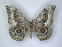  ( - ANHRTUK00018023)  @11 [ ] Copyright (2021) Unspecified ANHRT
