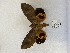  ( - ANHRTUK00018238)  @11 [ ] copyright (2021) Unspecified ANHRT