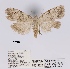  ( - ANHRTUK00019228)  @11 [ ] COPYRIGHT (2021) Unspecified ANHRT