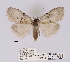  ( - ANHRTUK00019527)  @11 [ ] COPYRIGHT (2021) Unspecified ANHRT