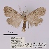  ( - ANHRTUK00019898)  @11 [ ] COPYRIGHT (2021) Unspecified ANHRT