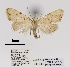 ( - ANHRTUK00019904)  @11 [ ] COPYRIGHT (2021) Unspecified ANHRT