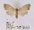  ( - ANHRTUK00019907)  @11 [ ] COPYRIGHT (2021) Unspecified ANHRT