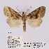  ( - ANHRTUK00019910)  @11 [ ] COPYRIGHT (2021) Unspecified ANHRT