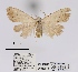  ( - ANHRTUK00019915)  @11 [ ] COPYRIGHT (2021) Unspecified ANHRT