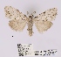  ( - ANHRTUK00019922)  @11 [ ] COPYRIGHT (2021) Unspecified ANHRT
